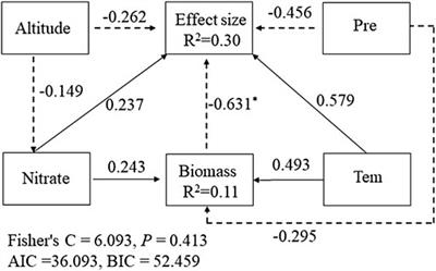 Grazing Significantly Increases N2O Emission Rates in Alpine Meadows of the Tibetan Plateau